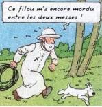 Tintin 1