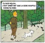 Tintin 4